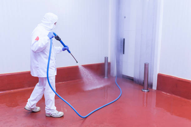 Best Soft Washing  in Dover Beaches North, NJ